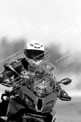 media/Nov-06-2023-Moto Forza (Mon) [[ce023d0744]]/4-Beginner Group/Session 3 (Track Exit)/